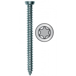 VITI AUTOF. X CALCESTR. TORX TPS 7,5X120 100PZ FER125038 12/23