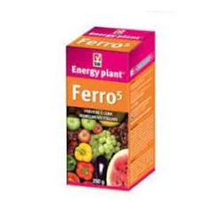 VEBI ENERGY PLAINT FERRO 5 FLACONI + ASTUCCIO 250g (10ml X 10L) 02/23