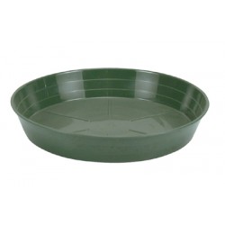 SOTTOVASO VERDE 30 MOPLEN MEG89933 04/23